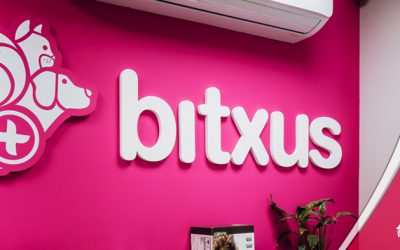 Bitxus estrena pàgina web!